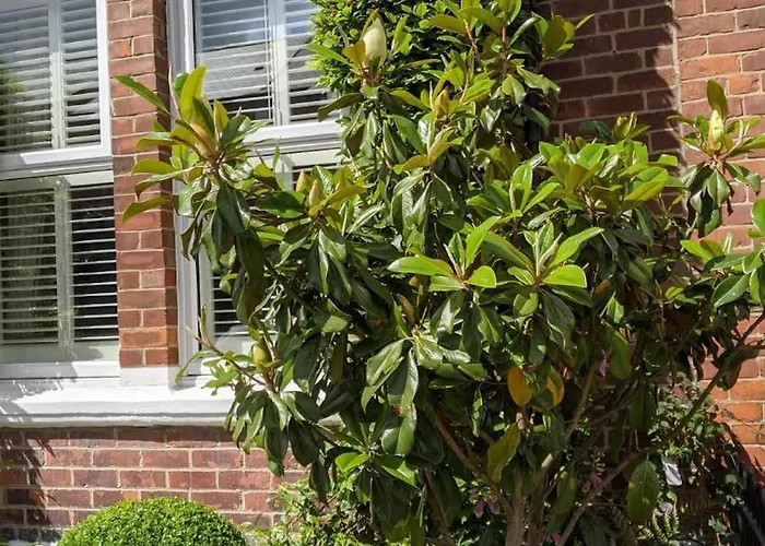 Sidney Grove B&B Newcastle upon Tyne